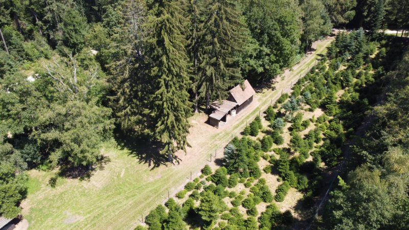 Luftaufnahme des Festplatzes im Wald