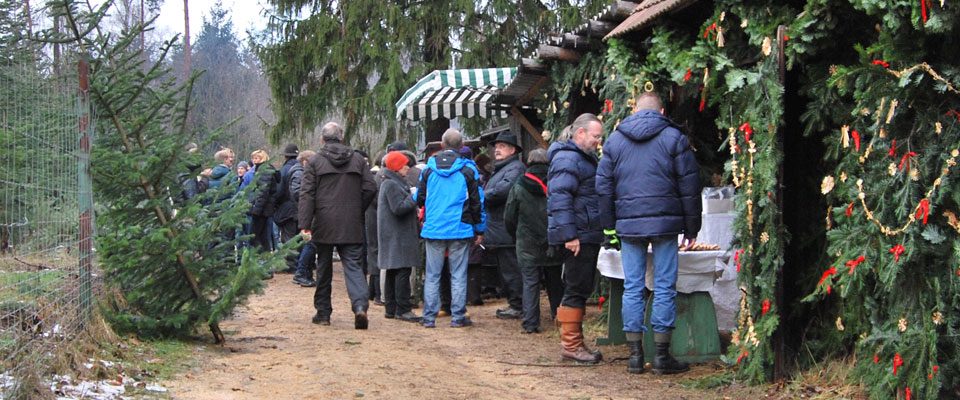 Perchten beim Perchtenlauf am Christbaumhof Eder