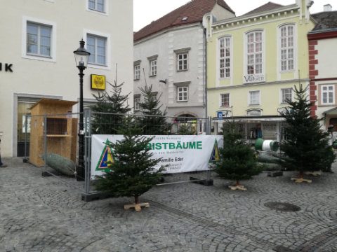 Christbaumverkauf am Dreifaltigkeitsplatz in Krems
