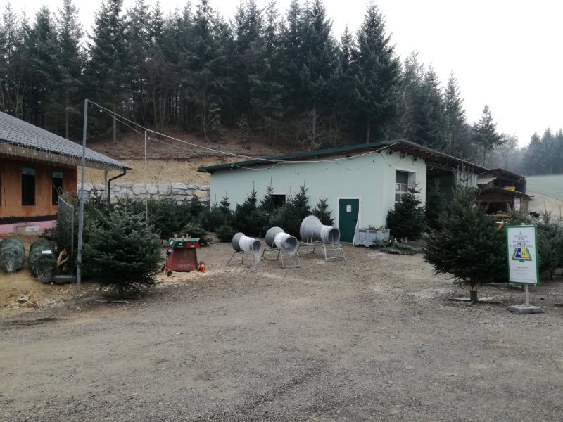 Christbaumverkauf am Hof der Familie Eder