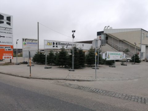 Christbaumverkauf an der Wienerstraße gegenüber der Straßenmeisterei Krems